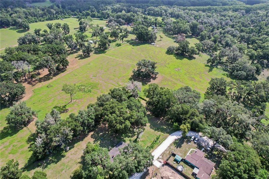 Natural landscape and outdoor views near  in Dade City (Image 12).