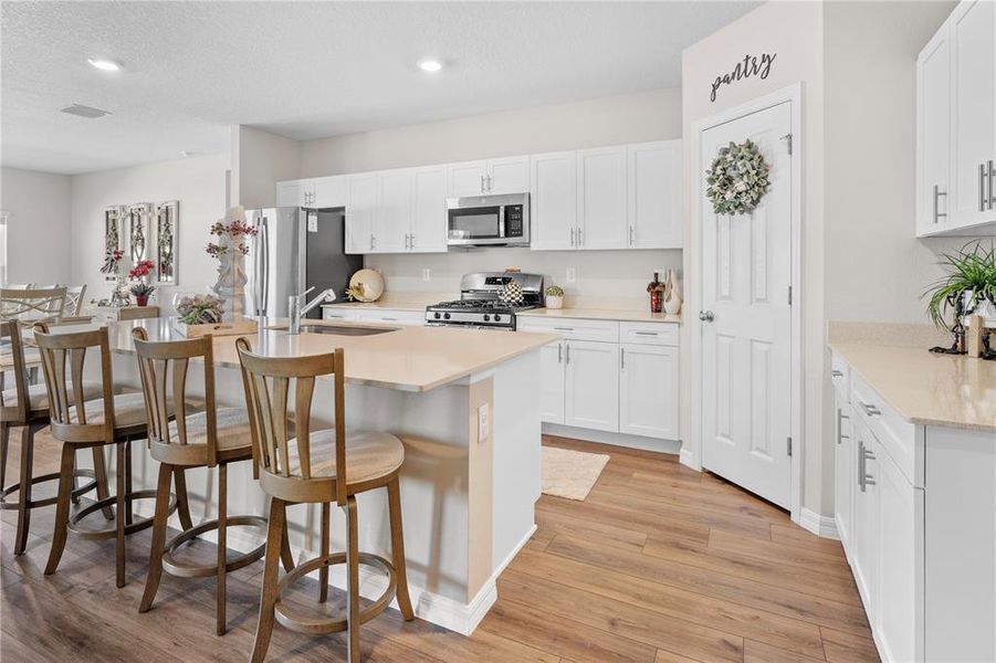 Furnished interior view inside a new home in Hawkstone, Lithia (Image 9). Furnished interior view inside a new home in Hawkstone, Lithia (Image 9).