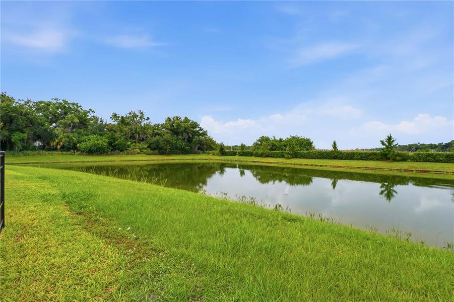 Natural landscape and outdoor views near  in Parrish (Image 37).