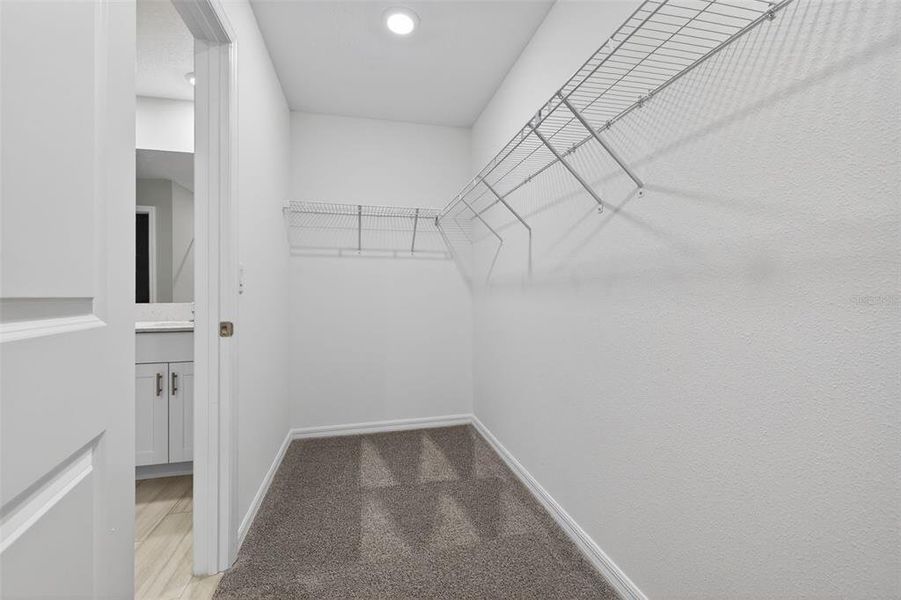 Spacious, unfurnished interior of a new home in , Riverview (Image 32).