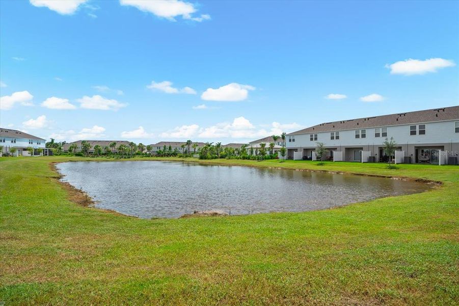 Natural landscape and outdoor views near  in Sarasota (Image 79).
