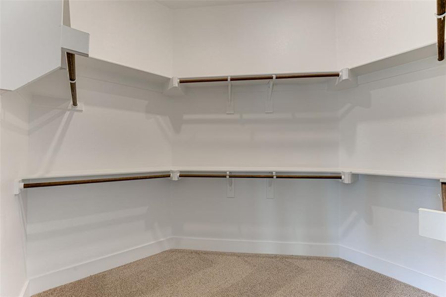 Walk in closet featuring carpet floors