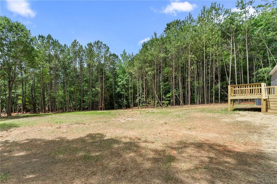 Natural landscape and outdoor views near  in Elberton (Image 26).