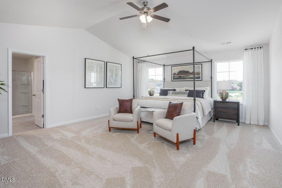 Primary vaulted ceilings Primary vaulted ceilings