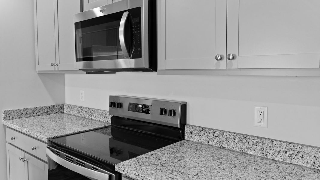 Image 22 representing the Cali by D.R. Horton in Center Pointe, Santee, SC.