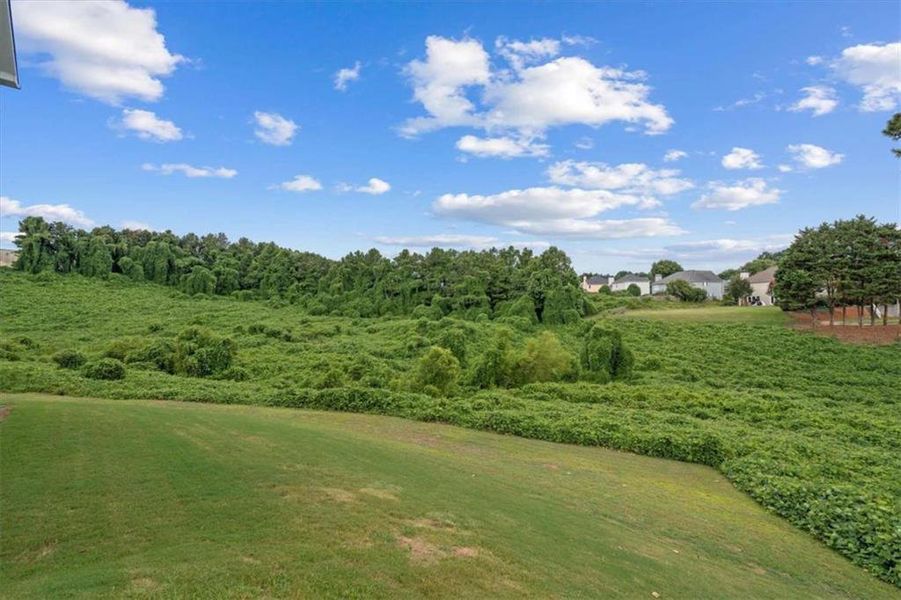 Natural landscape and outdoor views near  in Villa Rica (Image 48).