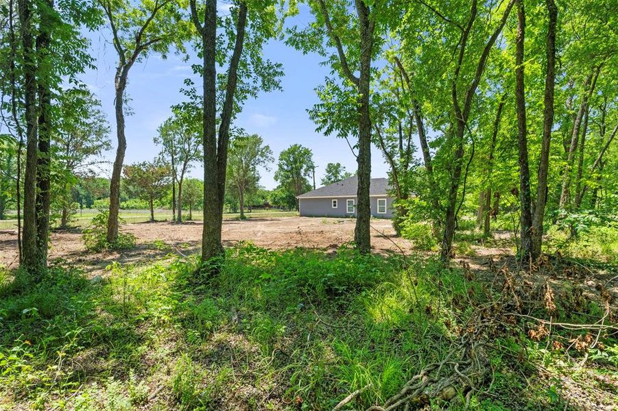 Natural landscape and outdoor views near  in Corsicana (Image 32).