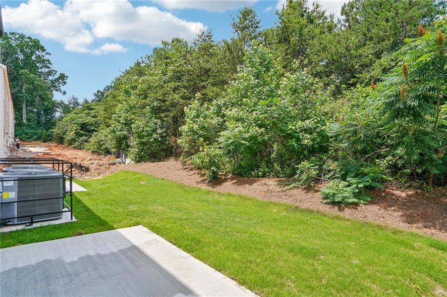 Natural landscape and outdoor views near Artisan Walk in Fairburn (Image 31).