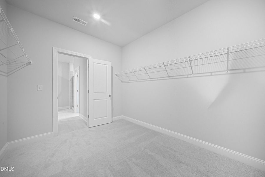 SUN_Everlee_Pic_TryonIII_QMI_217_Owners_