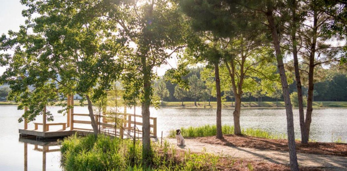 Natural landscape and outdoor views near Carnes Crossroads: Villas Collection in Summerville (Image 11). Natural landscape and outdoor views near Carnes Crossroads: Villas Collection in Summerville (Image 11).