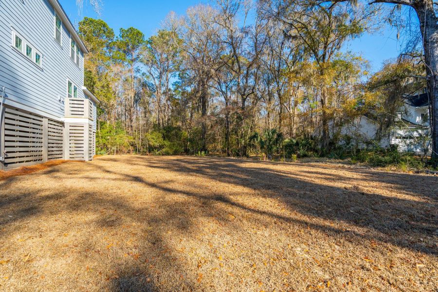 Natural landscape and outdoor views near Waterloo Estates in Johns Island (Image 83).