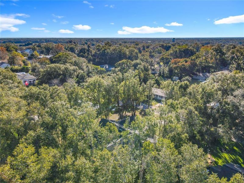 Natural landscape and outdoor views near in Lake Helen (Image 38). Natural landscape and outdoor views near in Lake Helen (Image 38).