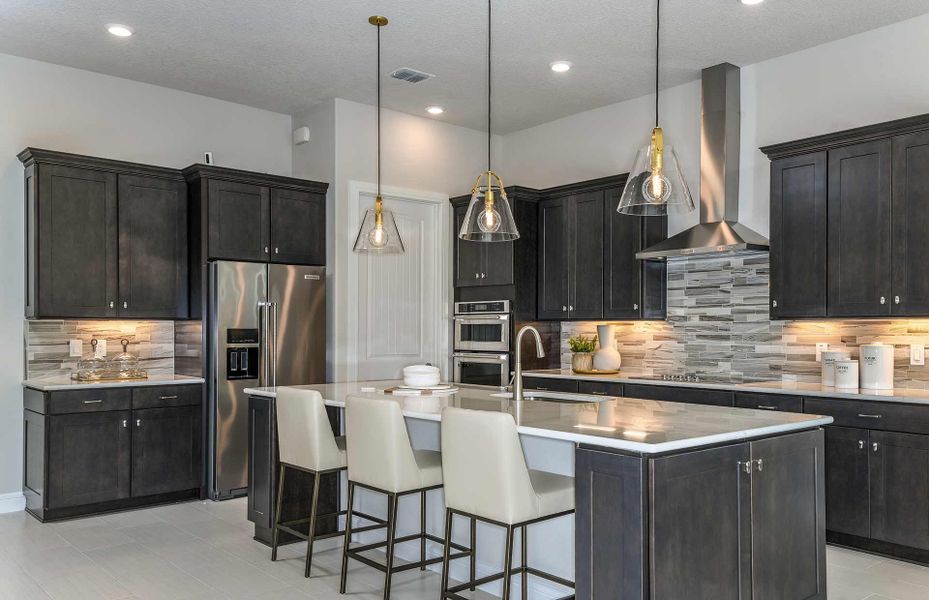 Open Kitchen with Designer Cabinets and Stainless Steel Appliances