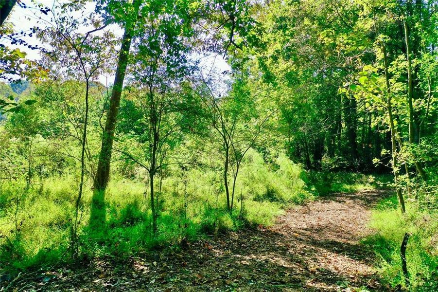 Natural landscape and outdoor views near The Courtyards by The Manor in Alpharetta (Image 65). Natural landscape and outdoor views near The Courtyards by The Manor in Alpharetta (Image 65).