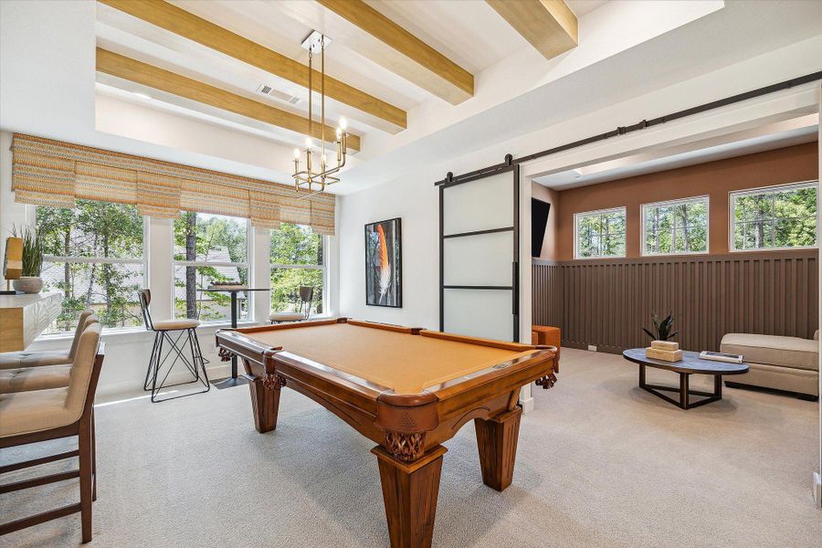 Community amenities associated with the The Collins by Westin Homes in Flora, Hutto (Image 39).