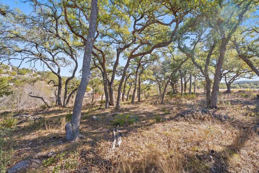 View of small trails going up and down the creek line