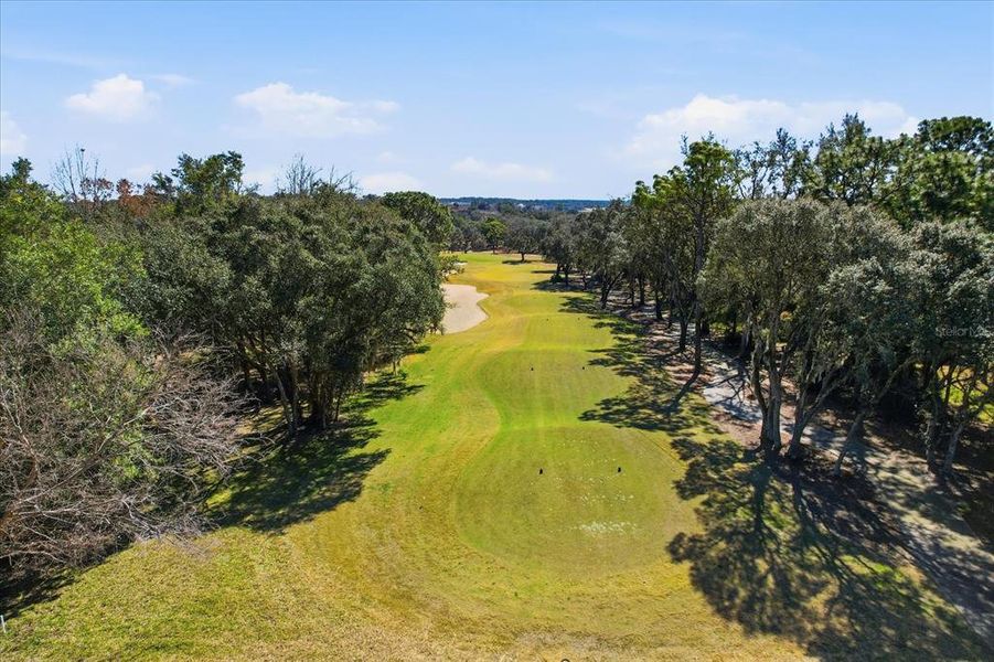 Natural landscape and outdoor views near  in Lecanto (Image 40).