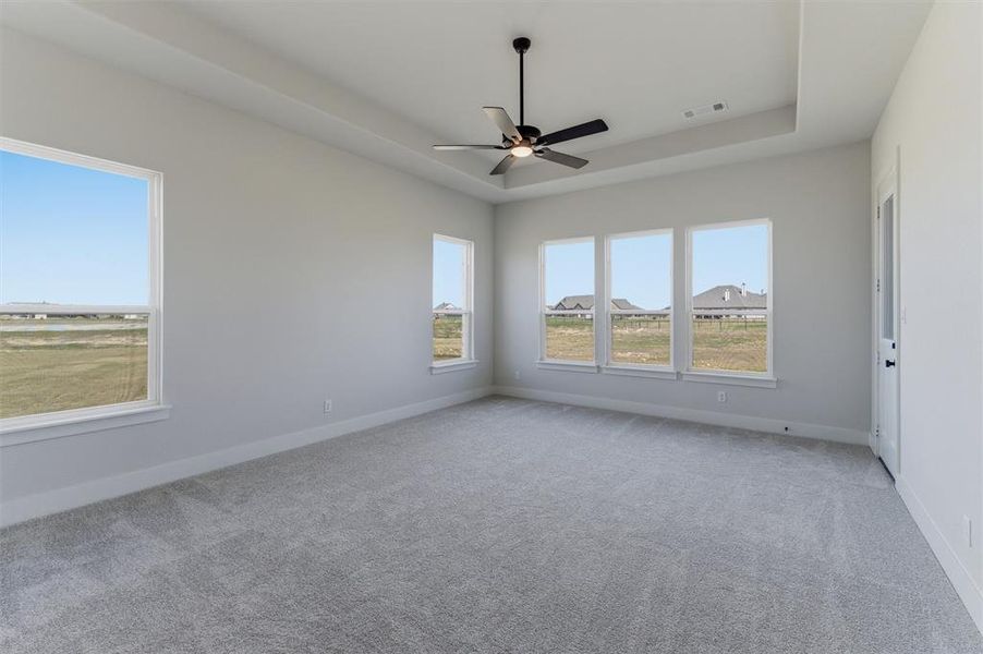 Spare room featuring a ceiling fan, light colored carpet, a raised ceiling, and healthy amount of natural light Spare room featuring a ceiling fan, light colored carpet, a raised ceiling, and healthy amount of natural light