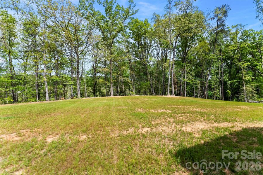 Natural landscape and outdoor views near  in Bessemer City (Image 22).