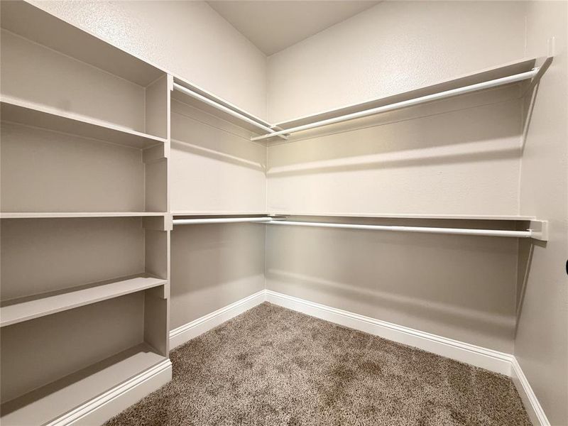 Walk in closet with dark carpet