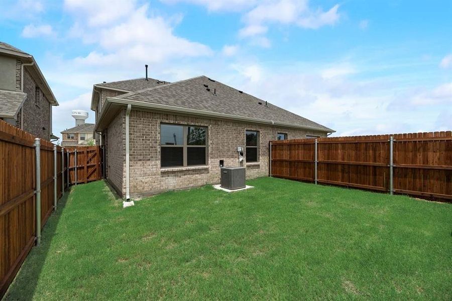 15_1072 Happy Holly 15_1072 Happy Holly