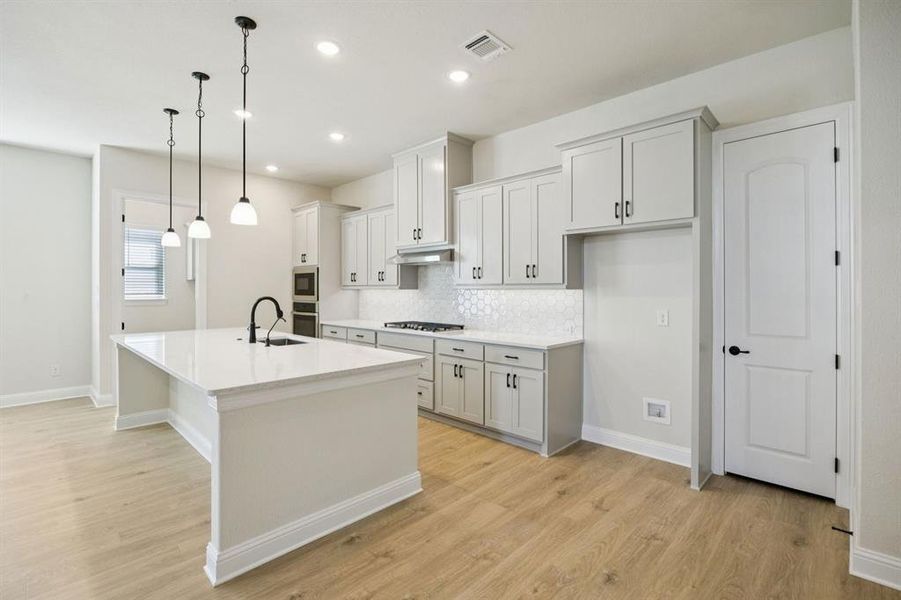 16-1016Sunflower_016 16-1016Sunflower_016