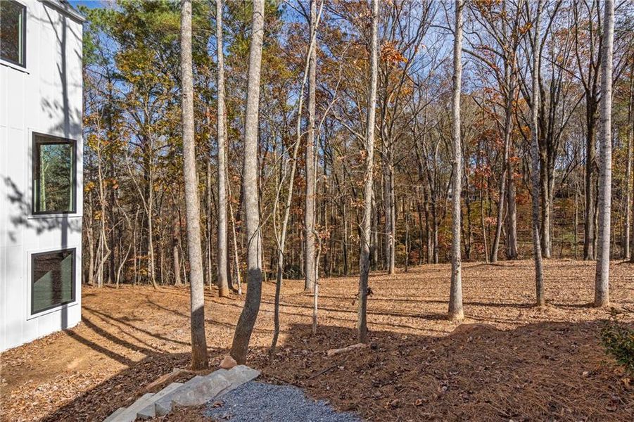 Natural landscape and outdoor views near Aster in Roswell (Image 49). Natural landscape and outdoor views near Aster in Roswell (Image 49).