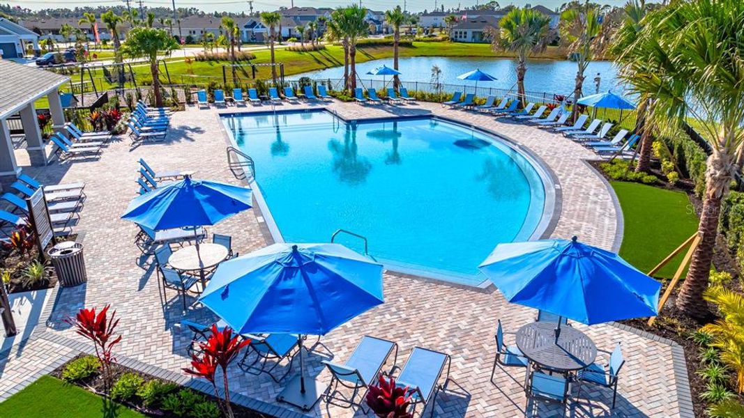 Community amenities in Indigo Creek, Apollo Beach (Image 31).