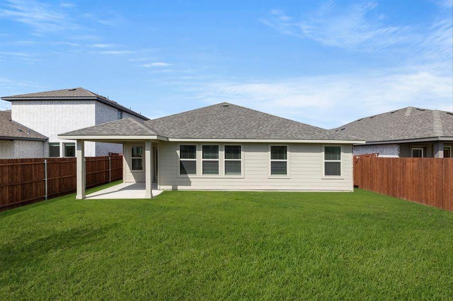 26. 3229 Timineri - Back 26. 3229 Timineri - Back