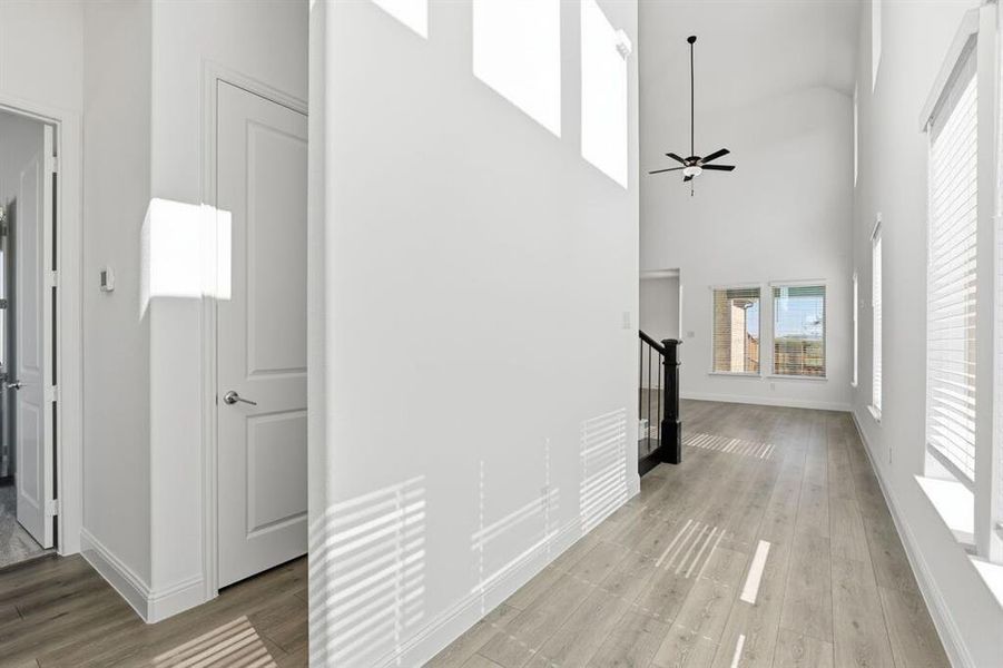 1017 Rainshower ~ Ready Now 1017 Rainshower ~ Ready Now