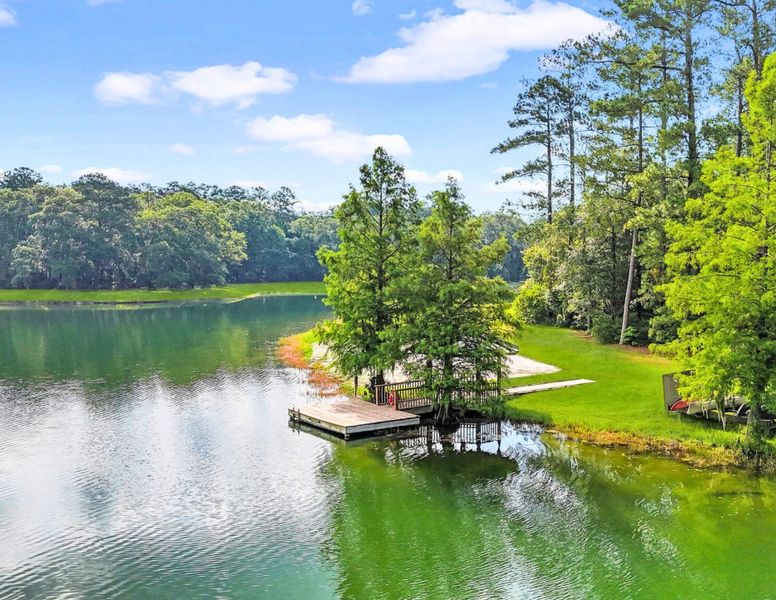 Natural landscape and outdoor views near  in Seabrook (Image 80).