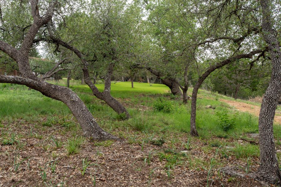 Natural landscape and outdoor views near  in Dripping Springs (Image 34).