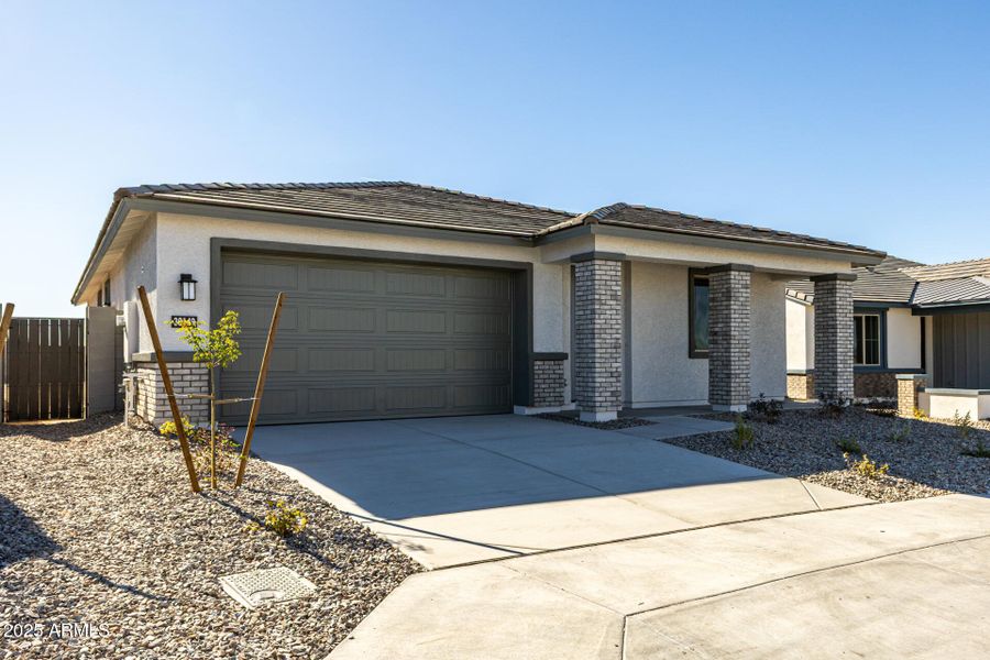 3 - Palo Brea 3 - Palo Brea