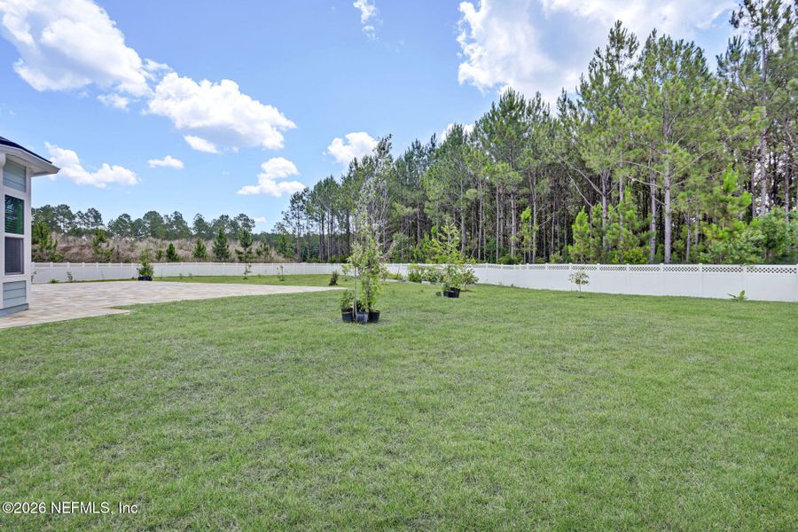 Natural landscape and outdoor views near in Jacksonville (Image 44). Natural landscape and outdoor views near in Jacksonville (Image 44).