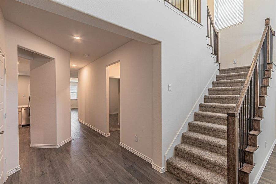 Staircase with dark hardwood / wood-style flooring