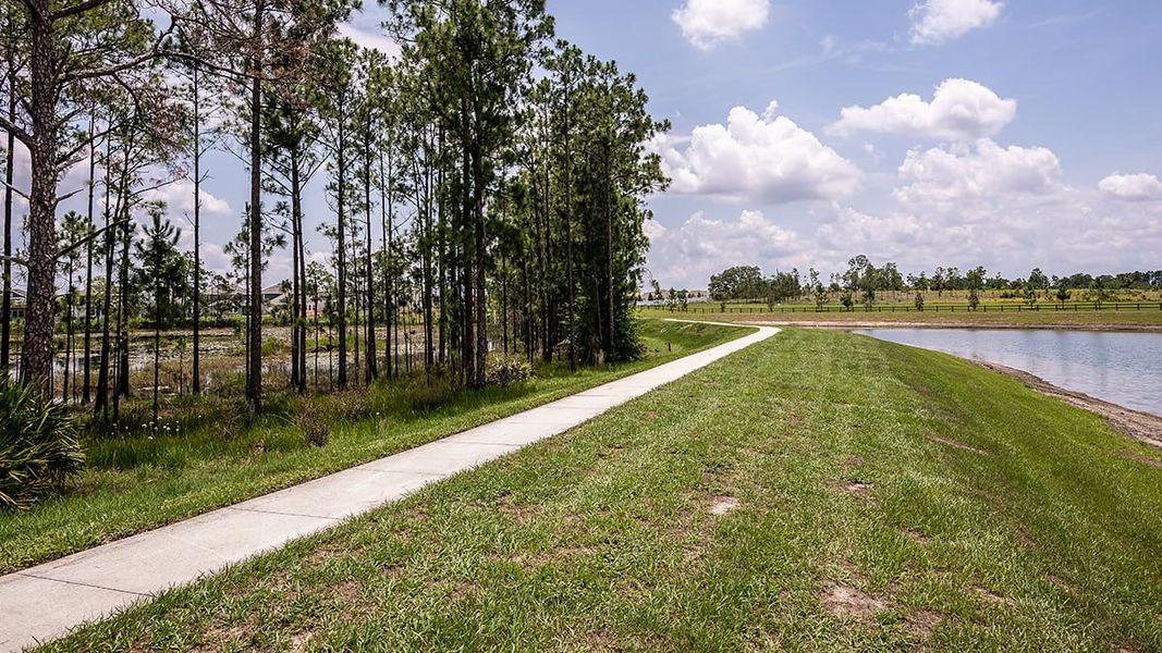 Natural landscape and outdoor views near Harvest at Ovation in Winter Garden (Image 57). Natural landscape and outdoor views near Harvest at Ovation in Winter Garden (Image 57).