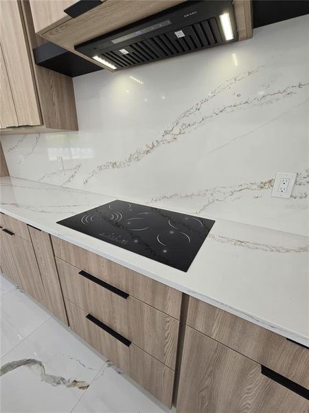 Close-up of interior finishes inside a home in , Tampa (Image 13).