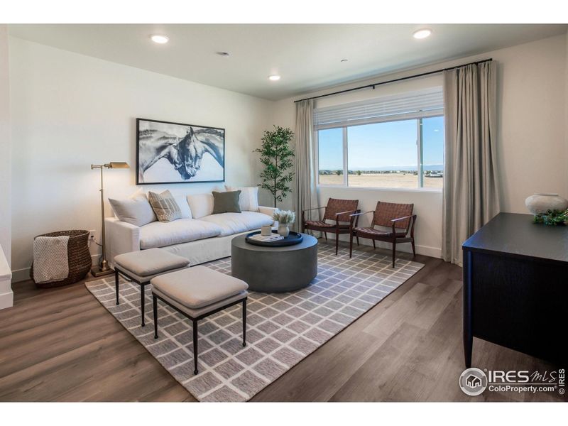 EXAMPLE PHOTO: LIVING ROOM