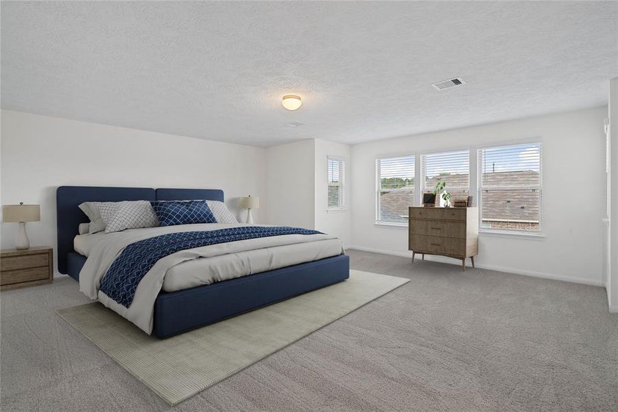 What a wonderful place to come home to, this stunning primary suite greets you with gorgeous plush carpet, custom paint, high ceiling, lighting, lovely windows with blinds allowing in natural light brightening up this spacious primary bedroom!