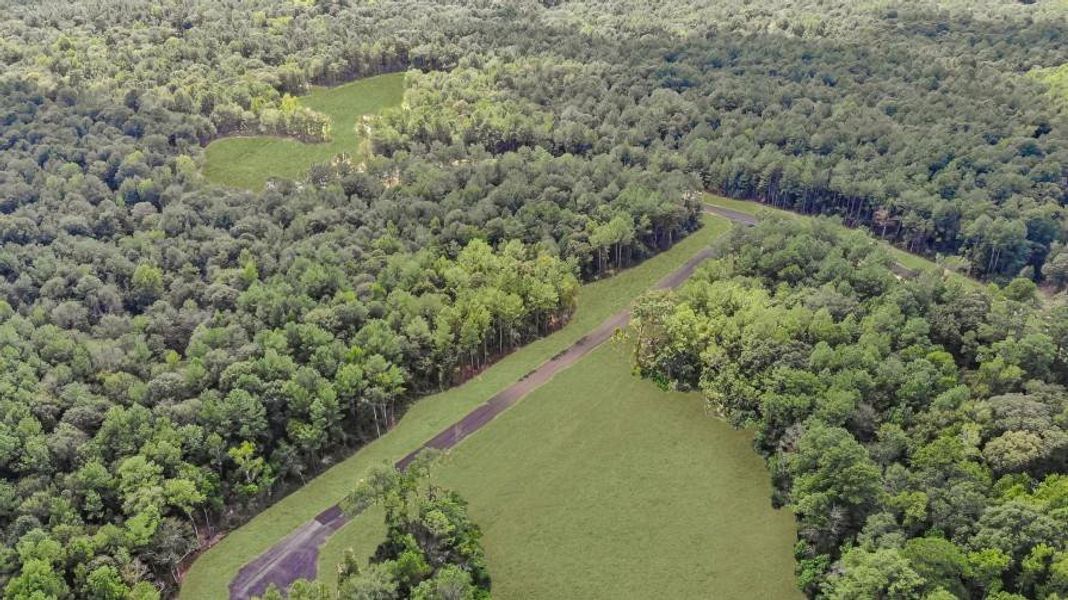 Natural landscape and outdoor views near Silver Creek Ranch in Montgomery (Image 3).