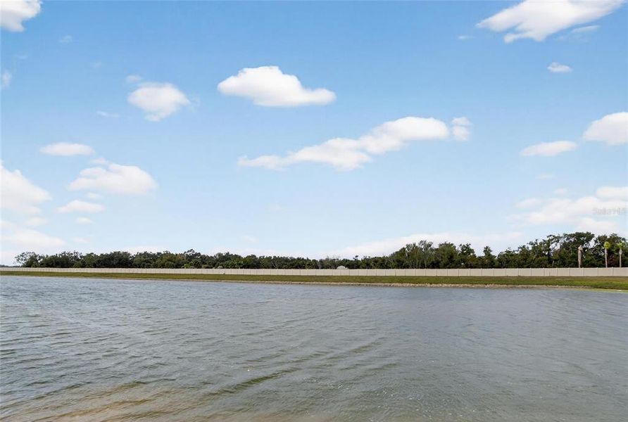 Natural landscape and outdoor views near in Palmetto (Image 32). Natural landscape and outdoor views near in Palmetto (Image 32).