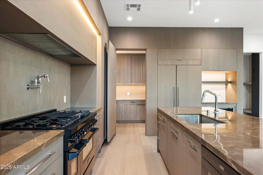 Cleverly concealed pantry