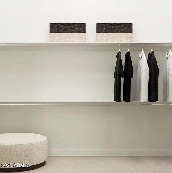 Owners Walk in Closet