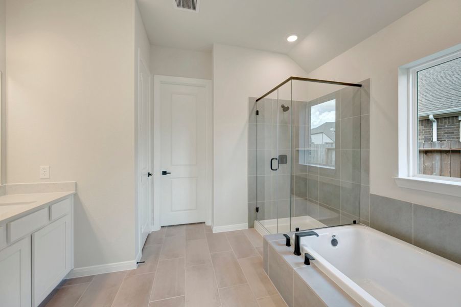 Owner's Bath