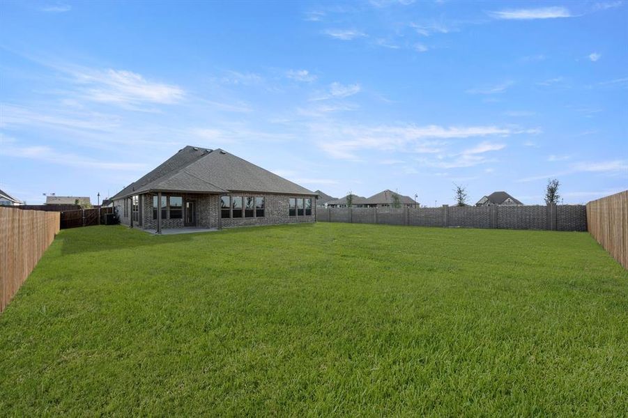 209 Pine Leaf- Back-1