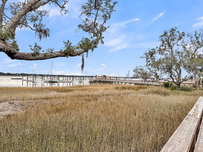 Natural landscape and outdoor views near Daniel Island Park in Charleston (Image 85).