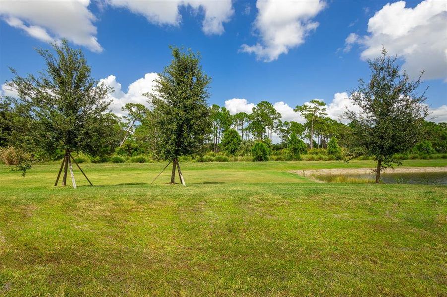 Natural landscape and outdoor views near  in Nokomis (Image 33).