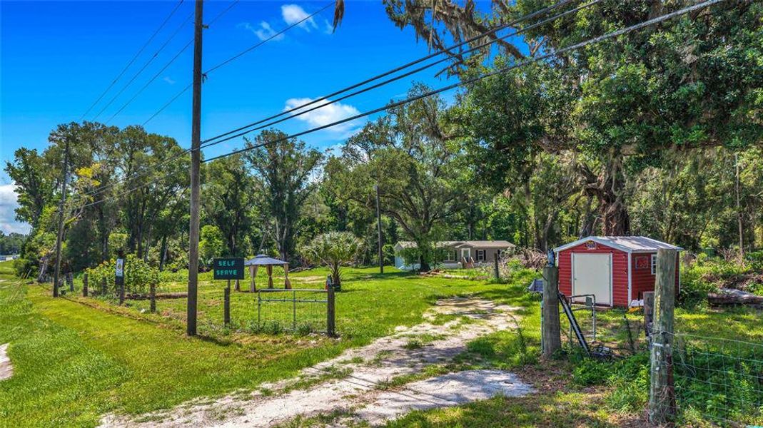 Natural landscape and outdoor views near  in Brooksville (Image 49).