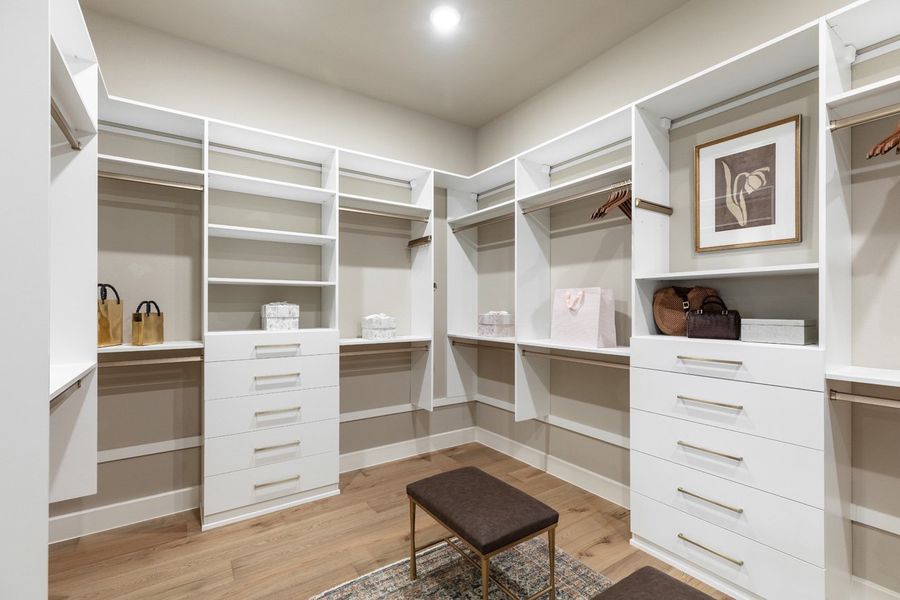 Representative Primary Closet - some options shown