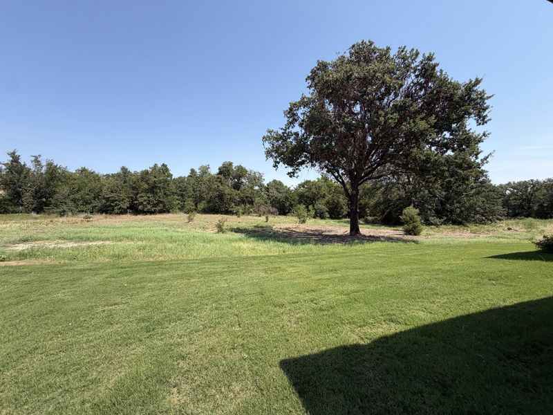 Natural landscape and outdoor views near Terra Vista Estates in Springtown (Image 25).